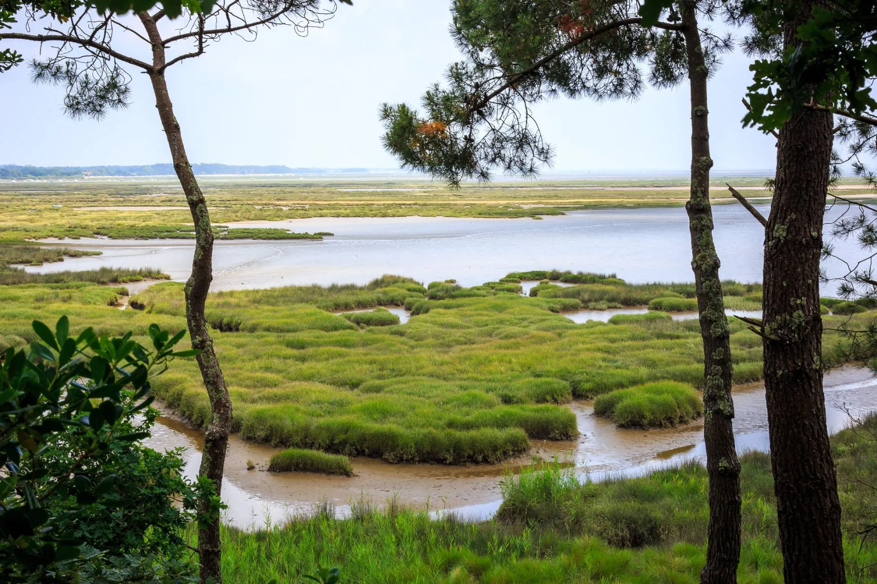 Près salés d&#039;Arès